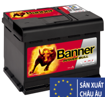 BÌNH ẮC QUY BANNER POWER P60 09 12V 60AH
